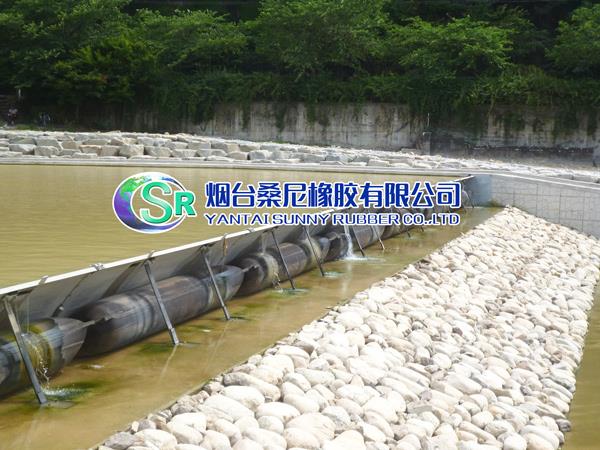 Aplikasi Water Storage-Spillway Gate