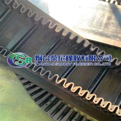 Belt Konveyor Dinding Samping Tahan Minyak/Panas/Asam