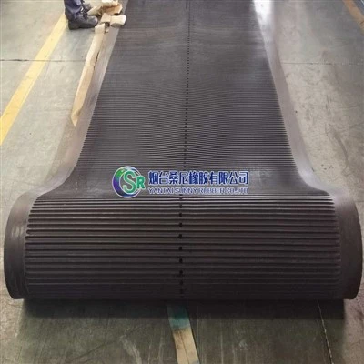Sabuk filter karet berkualitas tinggi 6m dengan rok-tepi rok